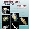 Biology and Evolution of the Mollusca, Volume 2-Original PDF