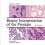Biopsy Interpretation of the Prostate (Biopsy Interpretation Series) 6th Edition-EPUB