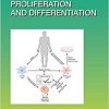 Stem Cell Proliferation and Differentiation (Volume 138) (Current Topics in Developmental Biology (Volume 138))-Original PDF