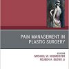 Pain Management in Plastic Surgery An Issue of Clinics in Plastic Surgery (Volume 47-2) (The Clinics: Surgery (Volume 47-2))-Original PDF