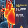 The Cardiovascular System at a Glance 5th Edition-Original PDF