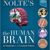 Nolte’s The Human Brain: An Introduction to its Functional Anatomy 8th Edition-Original PDF
