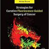 Strategies for Curative Fluorescence-Guided Surgery of Cancer-Original PDF