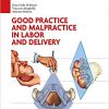 Good practice and malpractice in labor and delivery-EPUB