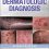 Guidebook to Dermatologic Diagnosis-Original PDF