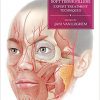 Calcium Hydroxylapatite Soft Tissue Fillers: Expert Treatment Techniques-Original PDF