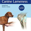 Diagnosing Canine Lameness-Original PDF