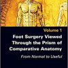 Foot Surgery Viewed Through the Prism of Comparative Anatomy: From Normal to Useful-Original PDF