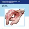 The Grasping Hand: Structural and Functional Anatomy of the Hand and Upper Extremity-Original PDF