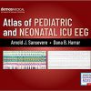 Atlas of Pediatric and Neonatal ICU EEG-Original PDF