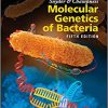 Snyder and Champness Molecular Genetics of Bacteria (ASM Books) 5th Edition-Original PDF