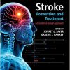 Stroke Prevention and Treatment (An Evidence-based Approach) 2nd Edition-Original PDF