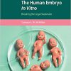 The Human Embryo In Vitro: Breaking the Legal Stalemate (Cambridge Bioethics and Law)-Original PDF