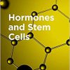 Hormones and Stem Cells (ISSN Book 116)-Original PDF