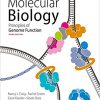 Molecular Biology: Principles of Genome Function 3rd Edition-Original PDF