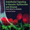 Endothelial Signaling in Vascular Dysfunction and Disease: From Bench to Bedside-Original PDF