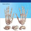 Synopsis of Hand Surgery-Original PDF