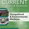 CURRENT Diagnosis & Treatment Occupational & Environmental Medicine, 6th Edition (Current Occupational and Environmental Medicine)-High Quality PDF