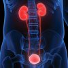 Comprehensive Review of Urology 2021-PDFs+Videos