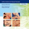 Palpation Techniques Surface Anatomy for Physical Therapists 3rd Edition-Original PDF