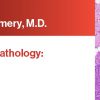 Expert Series with Elizabeth Montgomery, M.D.: Gastrointestinal Pathology: A One-On-One Tutorial 2021-Videos+PDF