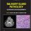 Salivary Gland Pathology: Diagnosis and Management 3rd Edition-Original PDF