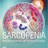 Sarcopenia: Molecular Mechanism and Treatment Strategies-EPUB