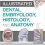 Illustrated Dental Embryology, Histology, and Anatomy, 5e-Original PDF