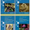 Tratado de Otorrinolaringología y Cirugía de Cabeza y Cuello. 4 Tomos. 2nd Edición-High Quality Image PDF
