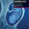 Endocrine Diseases in Pregnancy and the Postpartum Period 1st Edition-Original PDF
