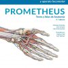 Prometheus. Texto y Atlas de Anatomía, Tomo 1 (Spanish Edition). 5th Edición-High Quality Image PDF
