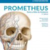 Prometheus. Texto y Atlas de Anatomía, Tomo 3 (Spanish Edition). 5th Edición-High Quality Image PDF