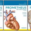 Prometheus. Texto y Atlas de Anatomía. Set de 3 Tomos. 5th Edición-High Quality Image PDF