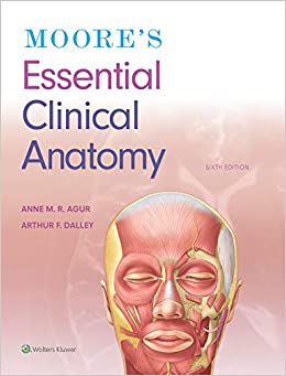 Moore's Essential Clinical Anatomy 6th Edition-Original PDF