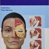 Dermal Fillers: Facial Anatomy and Injection Techniques 1st Edition-Original PDF