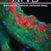 Arteriosclerosis, Thrombosis, and Vascular Biology December 2021 – Volume 41, Issue 12 Journal-PDF