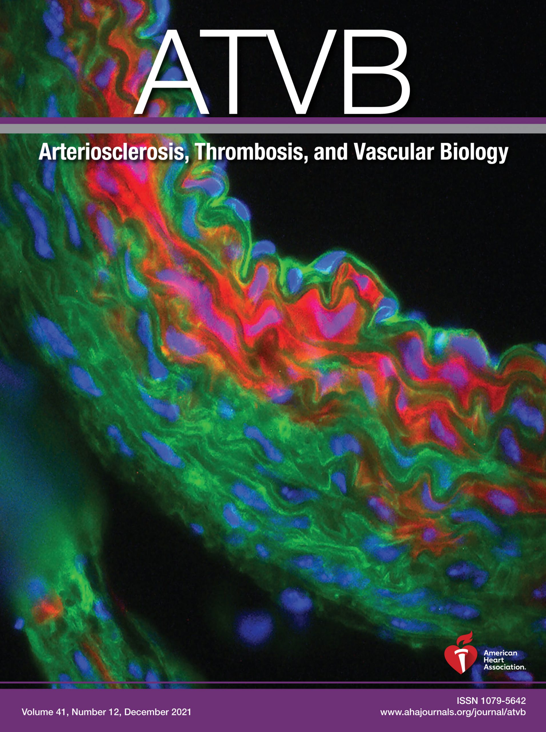 Arteriosclerosis, Thrombosis, and Vascular Biology December 2021 - Volume 41, Issue 12 Journal-PDF