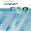 The Principles of Endodontics 3rd Edition-Original PDF