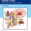 Tumors of the Spinal Canal: Surgical Approaches and Future Therapies -Original PDF