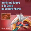 Function and Surgery of the Carotid and Vertebral Arteries -EPUB