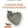 Fulcrum and Torsion of the Helical Myocardium (Salud) -EPUB+Converted pdf
