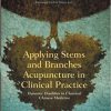 Applying Stems and Branches Acupuncture in Clinical Practice -Original PDF