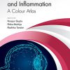 Corneal Infection and Inflammation: A Colour Atlas -EPUB