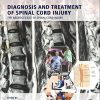 Diagnosis and Treatment of Spinal Cord Injury -EPUB