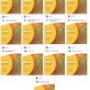 2022-2023 Basic and Clinical Science Course Complete set-Original PDF