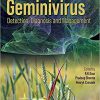 Geminivirus: Detection, Diagnosis and Management 1st Edition-True PDF
