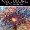 The Vasculome: From Many, One -Original PDF