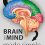 Brain and Mind Made Simple -Original PDF