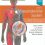 The Musculoskeletal System: Systems of the Body Series 3rd Edition-Original PDF