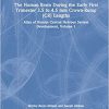 The Human Brain during the First Trimester 3.5- to 4.5-mm Crown-Rump Lengths: Atlas of Human Central Nervous System Development, Volume 1 -Original PDF